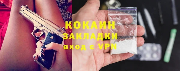 индика Горняк