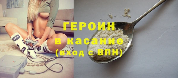 индика Горняк