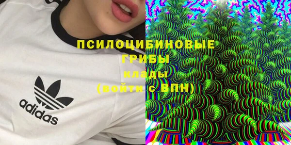 гидропоника Строитель