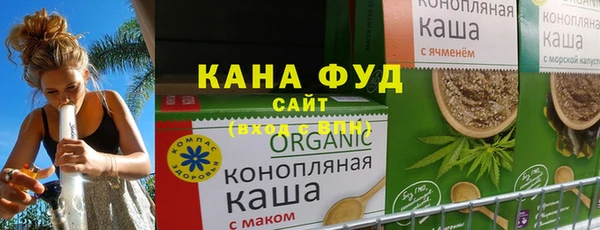 индика Горняк