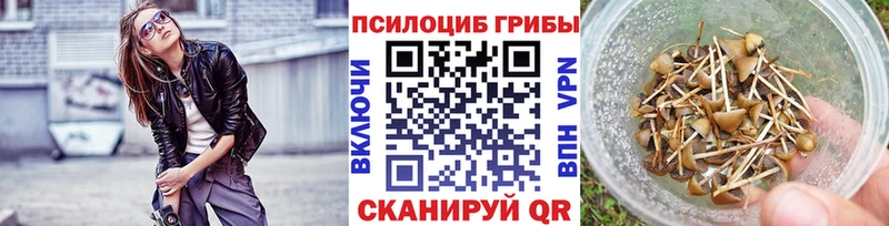Купить где  Сенгилей  Псилоцибиновые грибы Magic Shrooms 